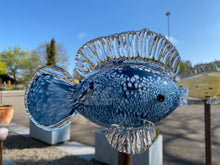 Lade das Bild in den Galerie-Viewer, Glasfische in verschiedenen Farben und Formen
